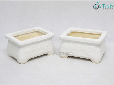 Chậu gốm trắng nhỏ trồng cây hình chữ nhật CE-CGMN-01